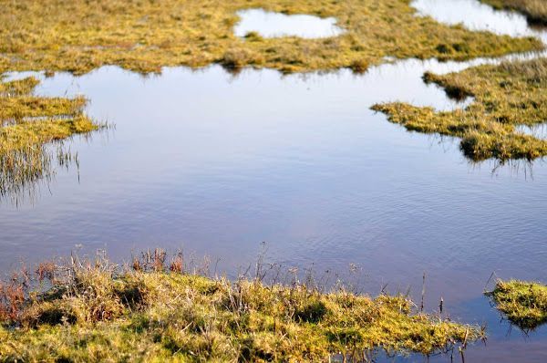 Ile de Boed (Morbihan)