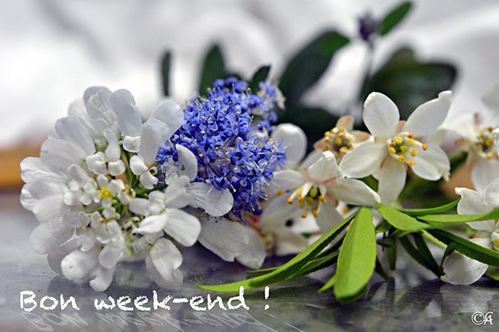 BON-WEEK-END-AVR_8079-REDIM700.jpg