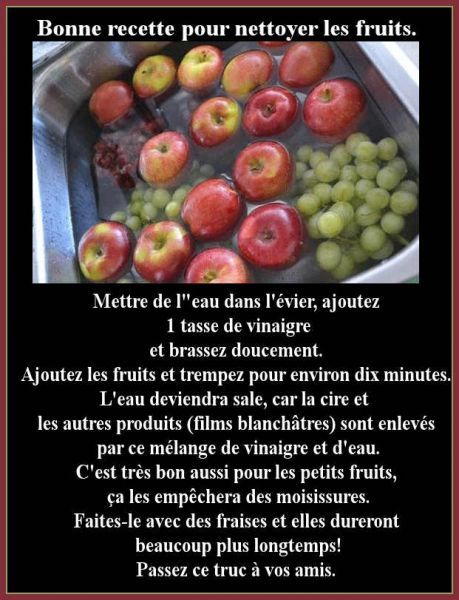 TRUC_POUR_NETTOYER_LES_FRUITS